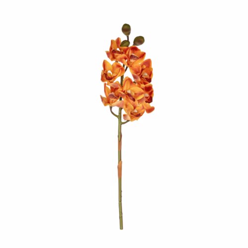 Orkide Dal (76 CM)