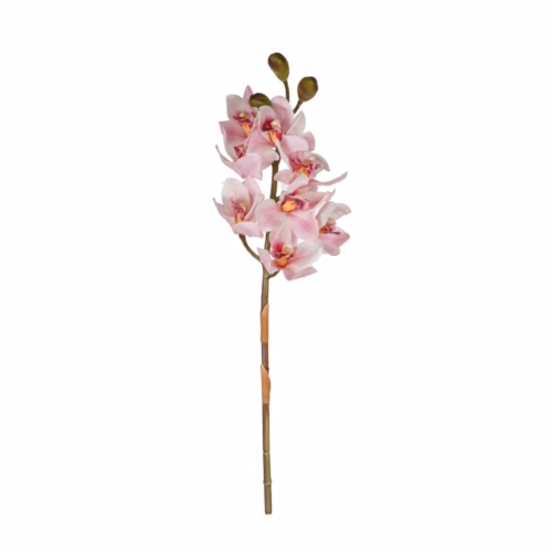 Orkide Dal (76 CM)