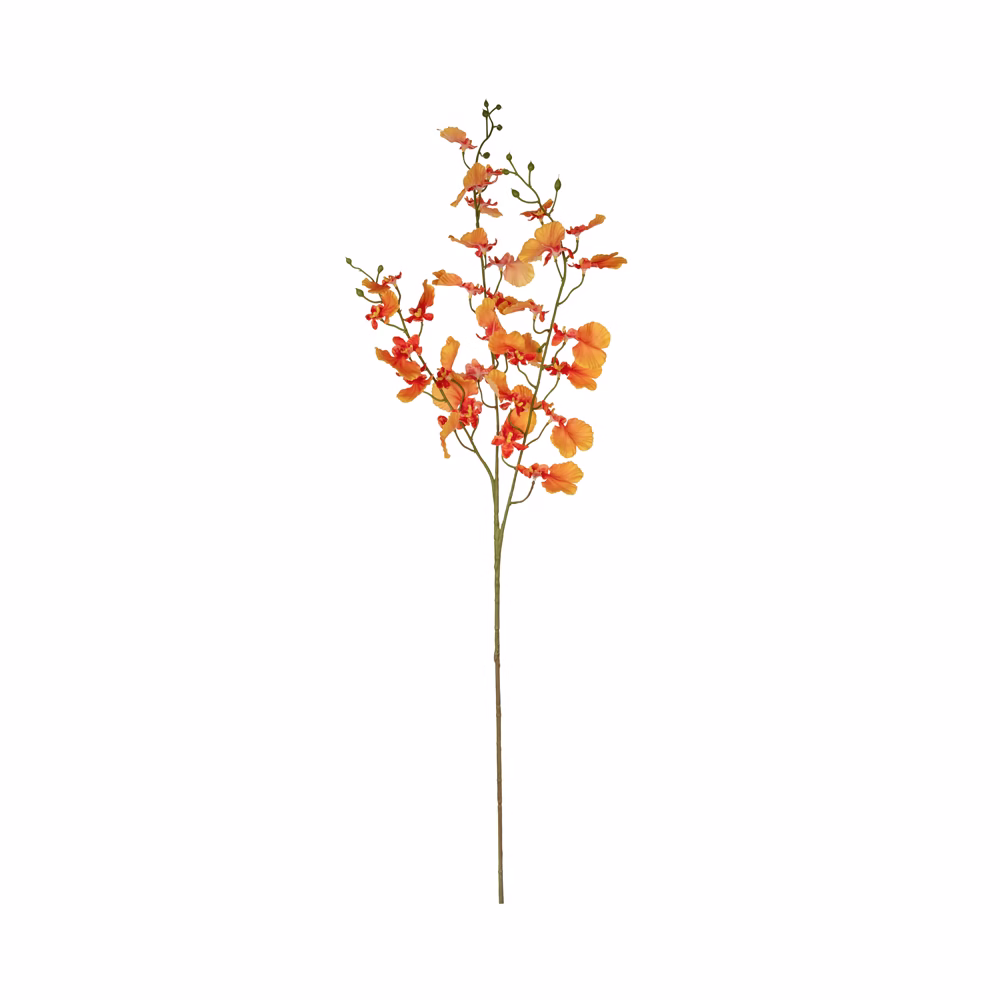 Orkide Dal (78 CM)