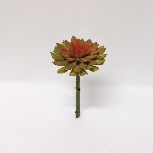 Yapay Succulent