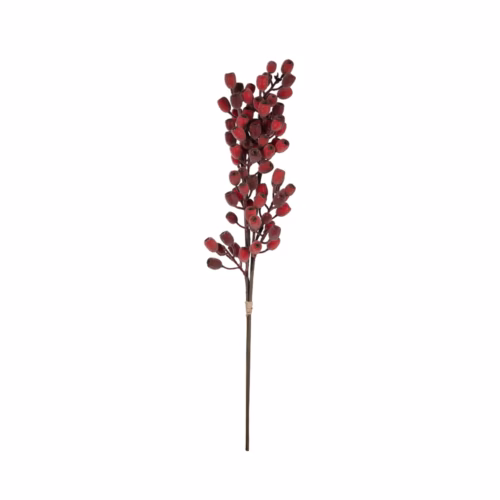 Berry Dal (86 CM)