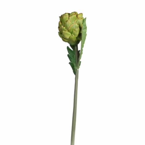 Enginar Dal