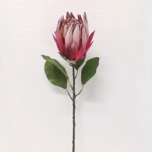 Protea Dal (79 CM)