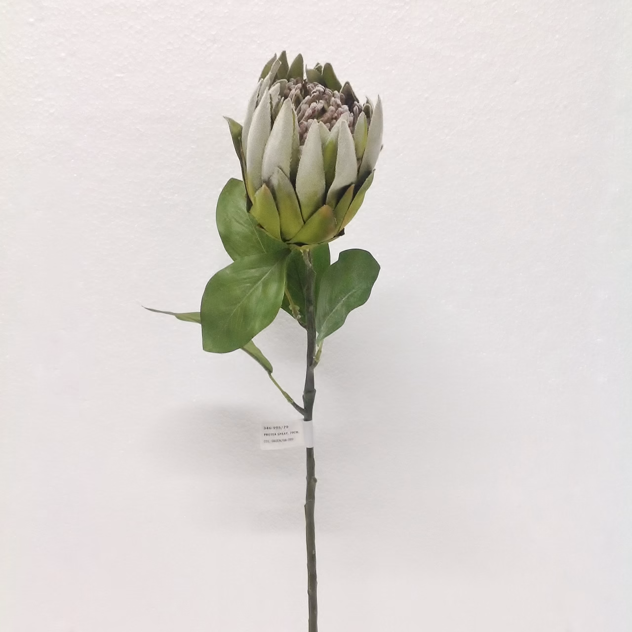 Protea Dal (79 CM) - Görsel 2