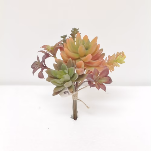 Yapay Echeveria Succulent (20 CM)