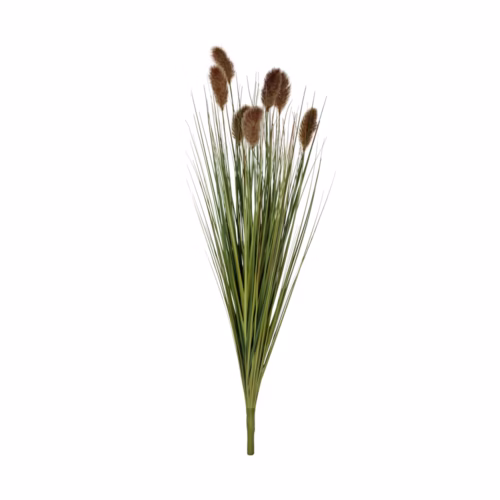 Dipsacus Demet (100 CM)