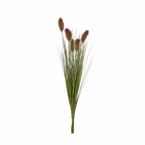 Dipsacus Demet (80 CM)