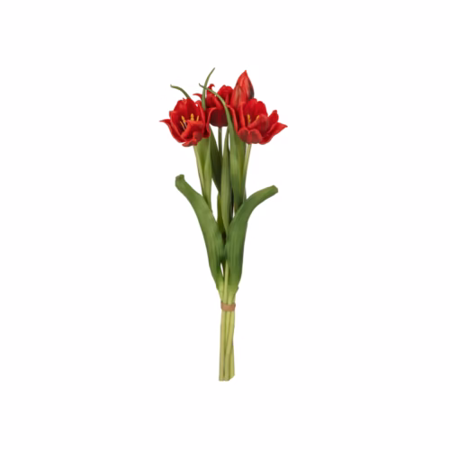 Lale Demet (41 CM)