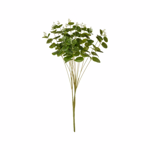 Okaliptüs Demet Green (50 CM)