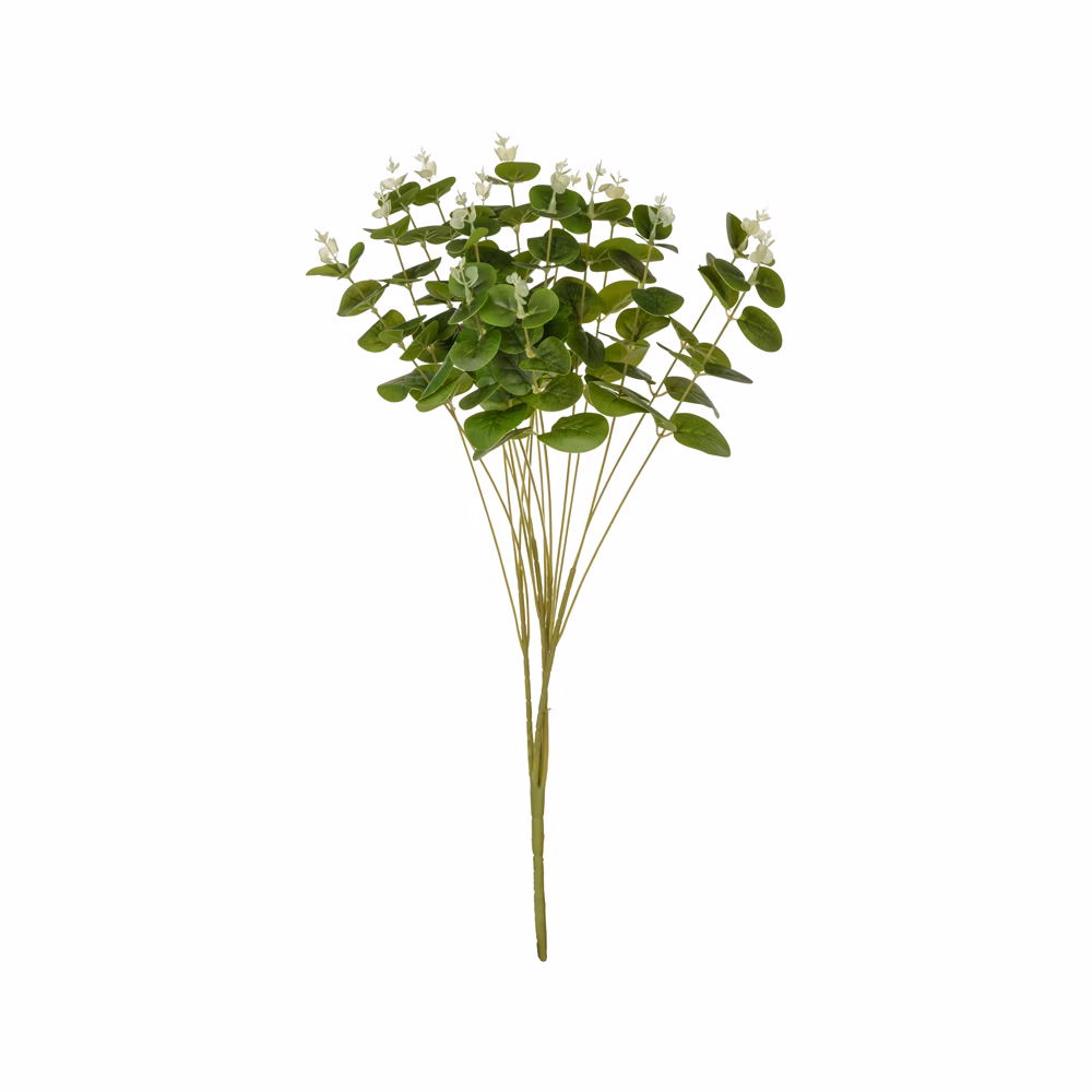 Okaliptüs Demet Green (50 CM)