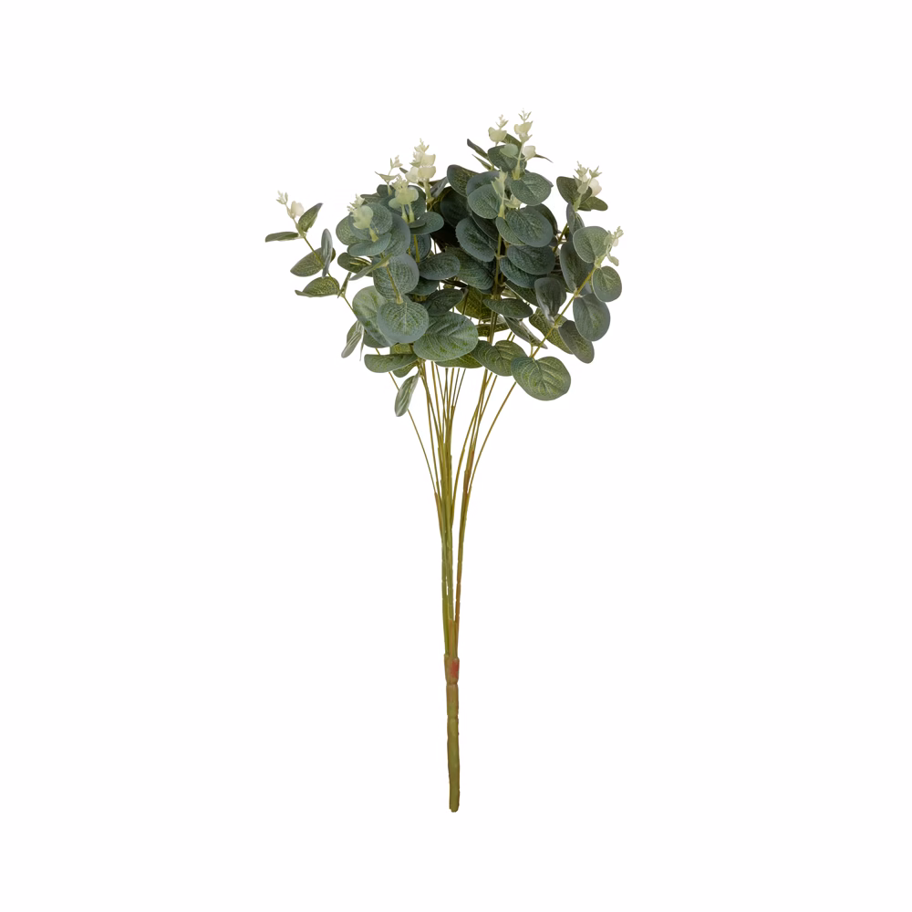 Okaliptüs Demet Grey (50 CM)