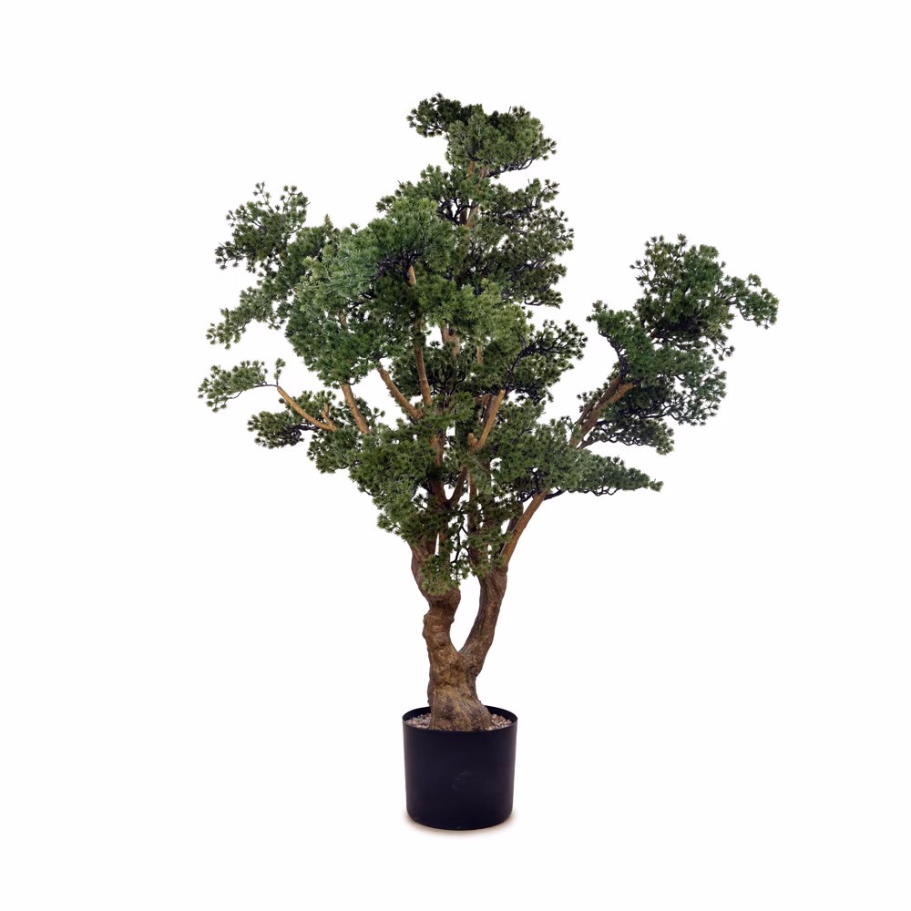 Bonzai Ağaç (155 CM)