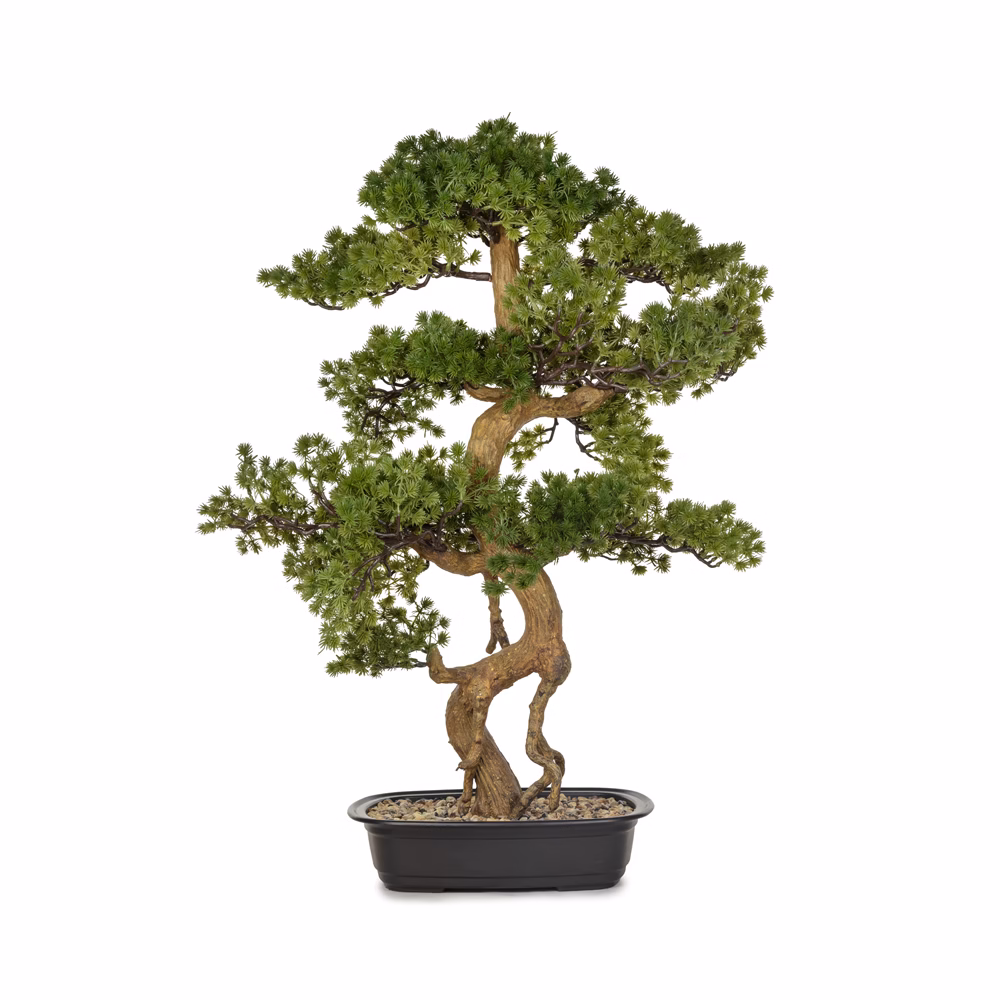 Saksılı Bonzai Ağaç (86 CM)