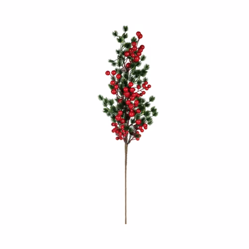 Berry Dal (65 CM)