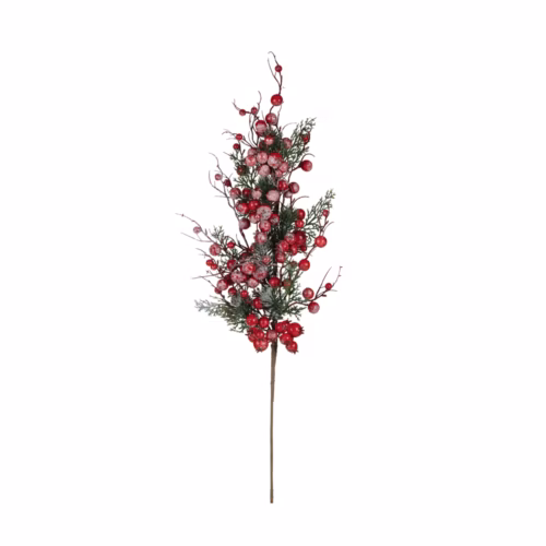 Berry Dal (80 CM)