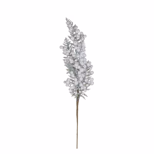 Berry Dal (72 CM)