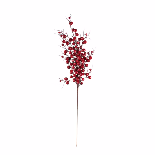 Berry Dal (76 CM)