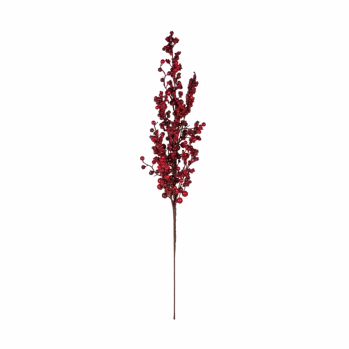 Berry Dal (76 CM)