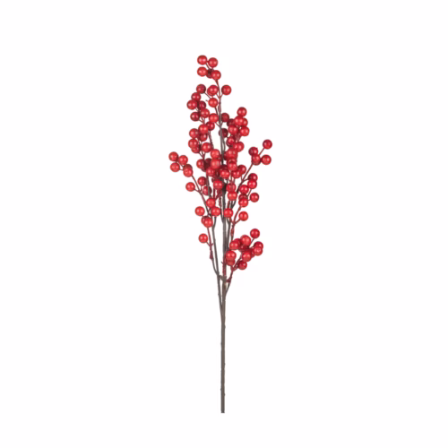 Berry Dal (65 CM)