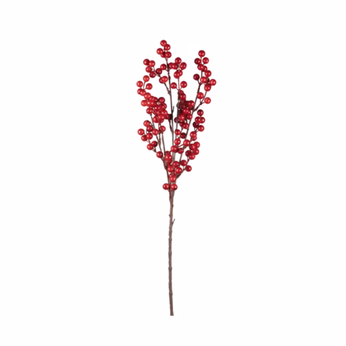 Berry Dal (65 CM)