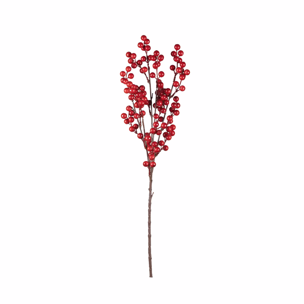 Berry Dal (65 CM)
