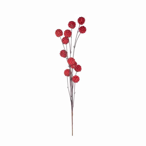 Berry Dal (80 CM)