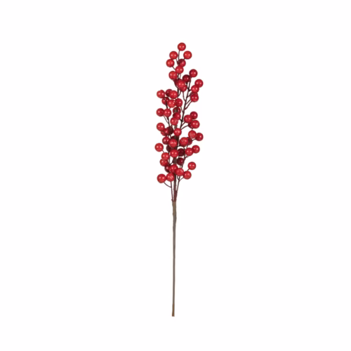 Berry Dal (50 CM)