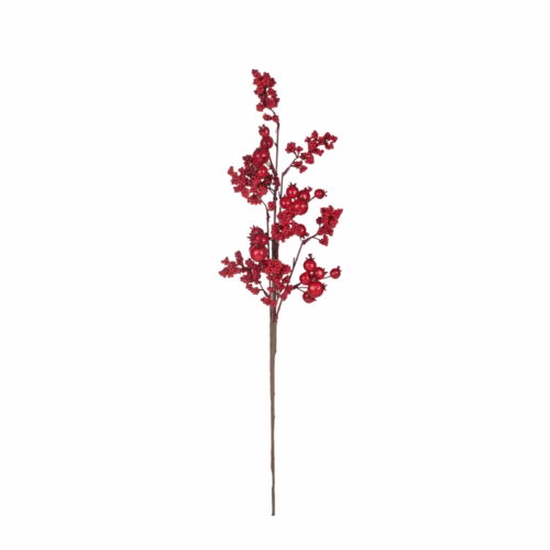 Berry Dal (65 CM)