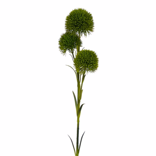 Kestane Dal (64 CM)